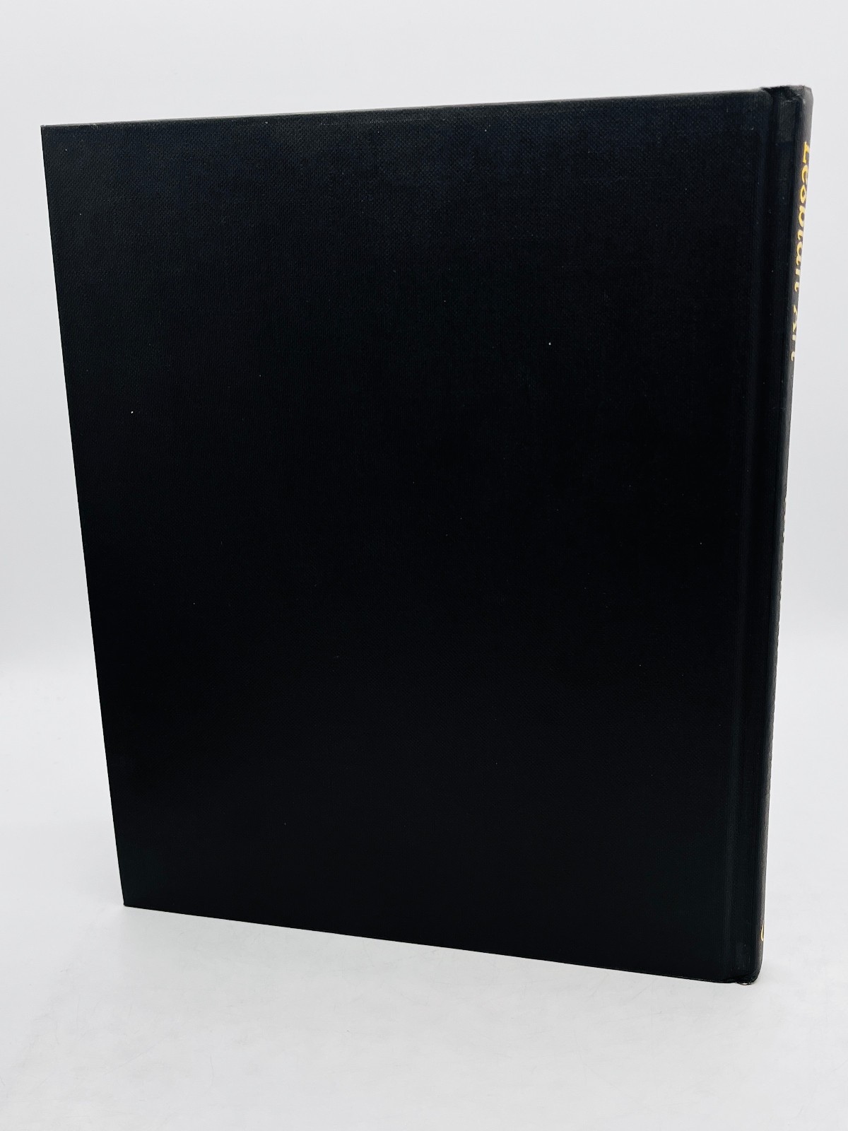 Lesbian Art: An Encounter with Power – Elizabeth Ashburn 1996 1st Edition HB DJ