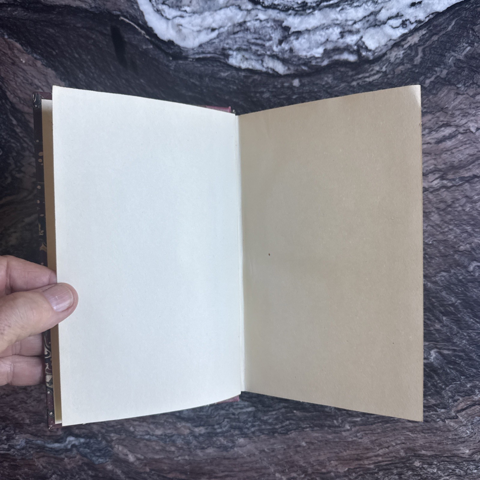 Charles Darwin 1st Edition Fertilization of Orchids London 1862