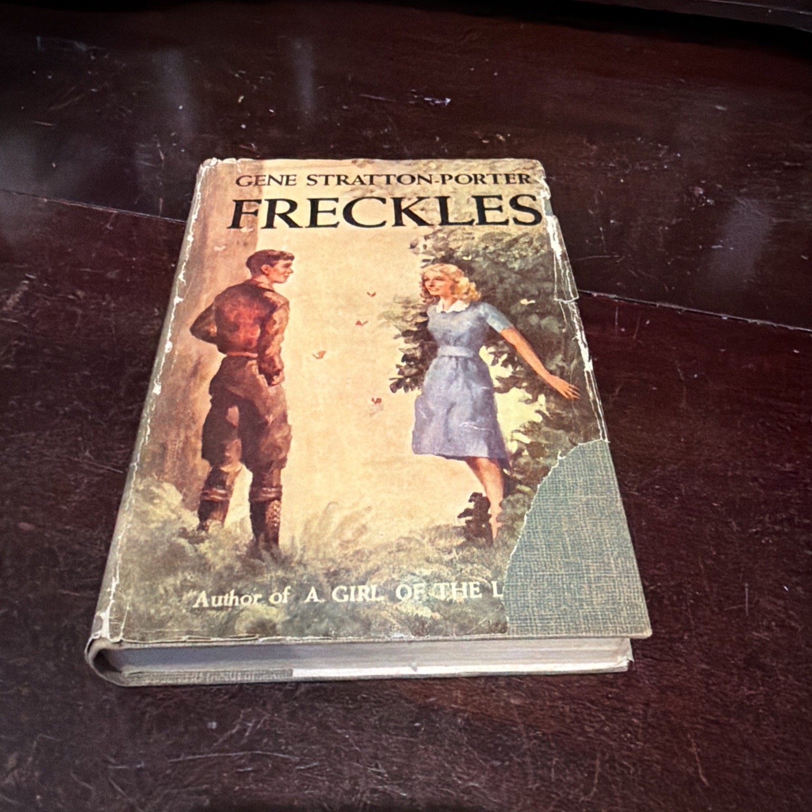 Freckles by Gene Stratton-Porter Vintage Illustrated Edition