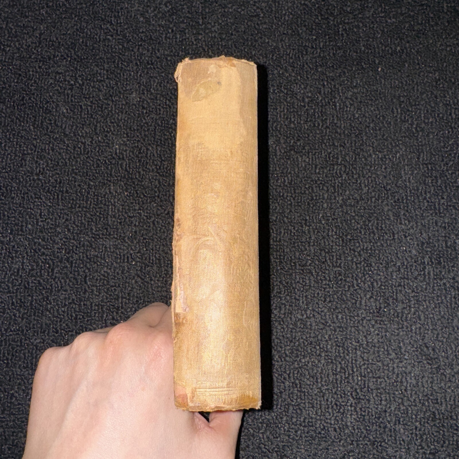 1857 The Young Yägers Narrative of Hunting Adventures in Southern Africa by Reid