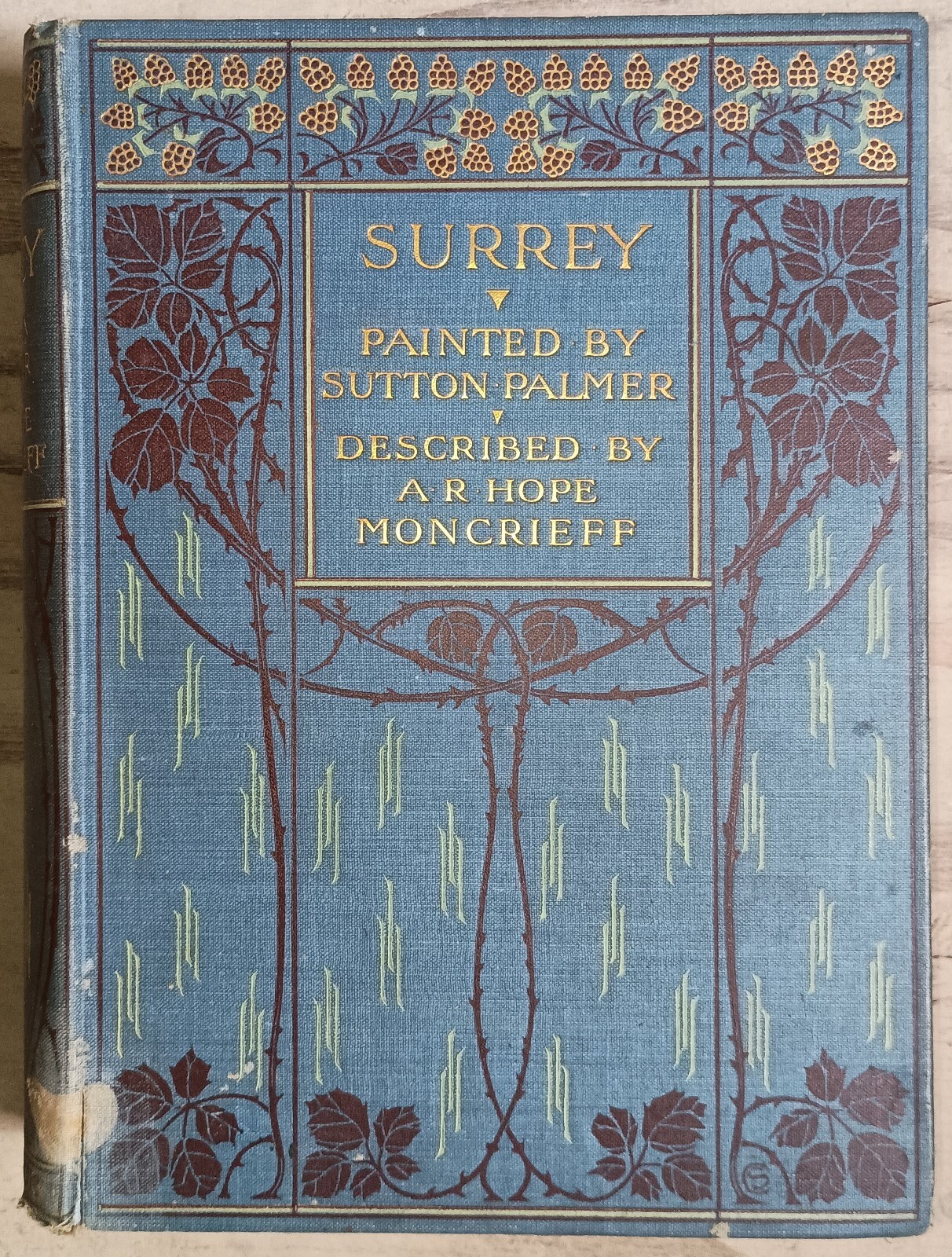 SURREY by A R Hope Moncrieff Painted by Sutton Palmer 1st Edition 1906