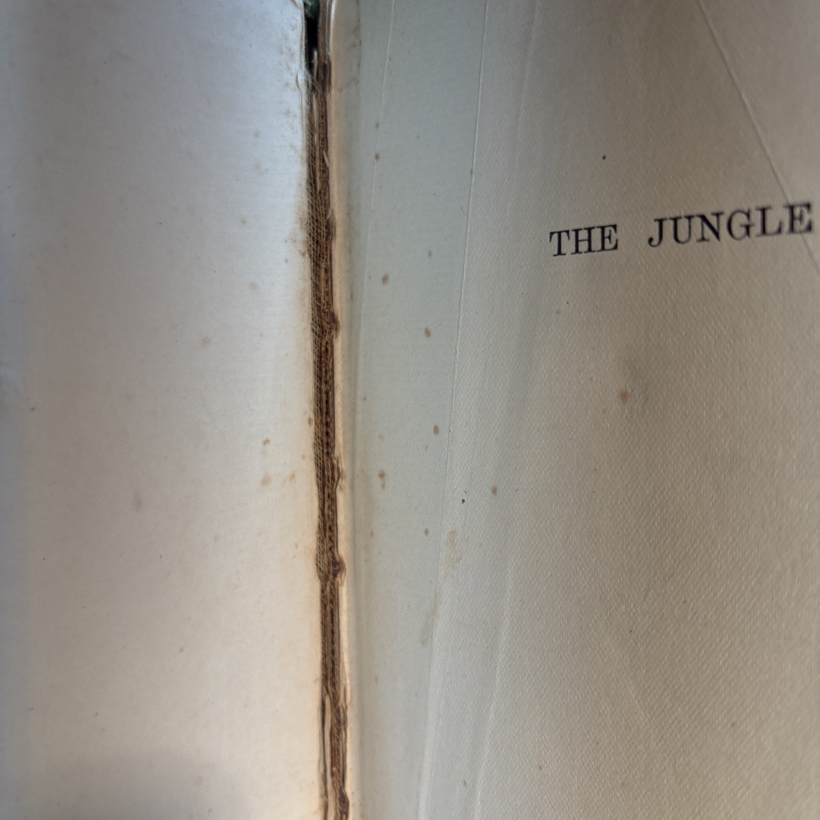 The Jungle, 1906, first edition, Upton Sinclair