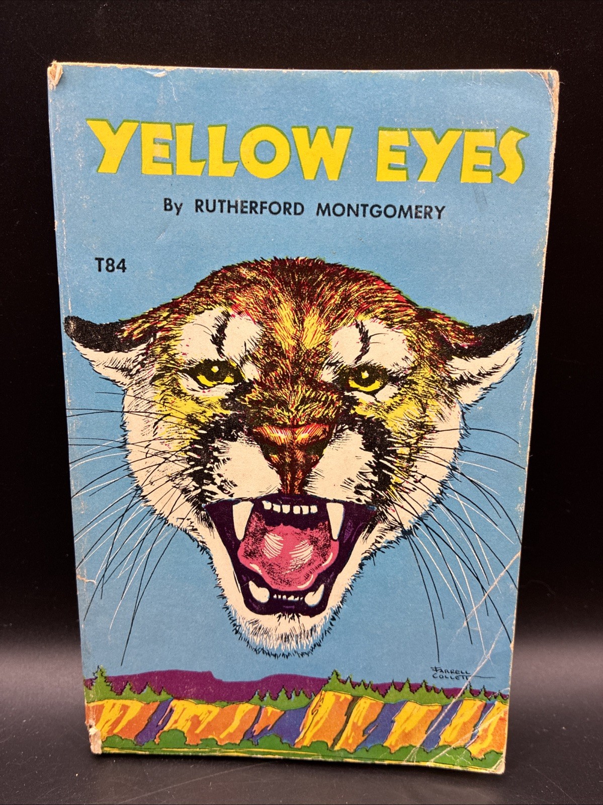 Yellow Eyes Rutherford Montgomery 1964 Scholastic TAB T84 Vintage Cougar PB