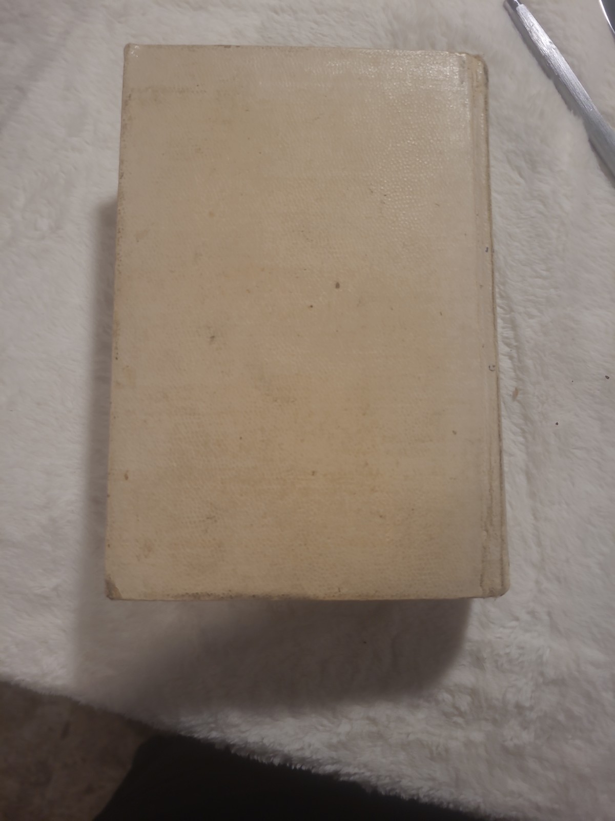 124 YEARS OLD – The Great 20th Century Cook Book: Three Meals A Day – 1902