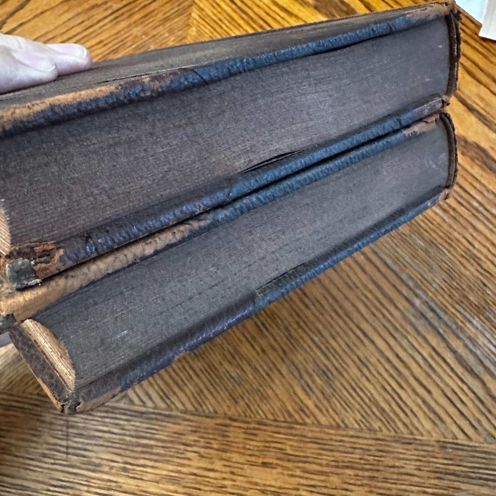 1899 Treatise on Bookkeeping & Business Forms VOL I & II International Textbook