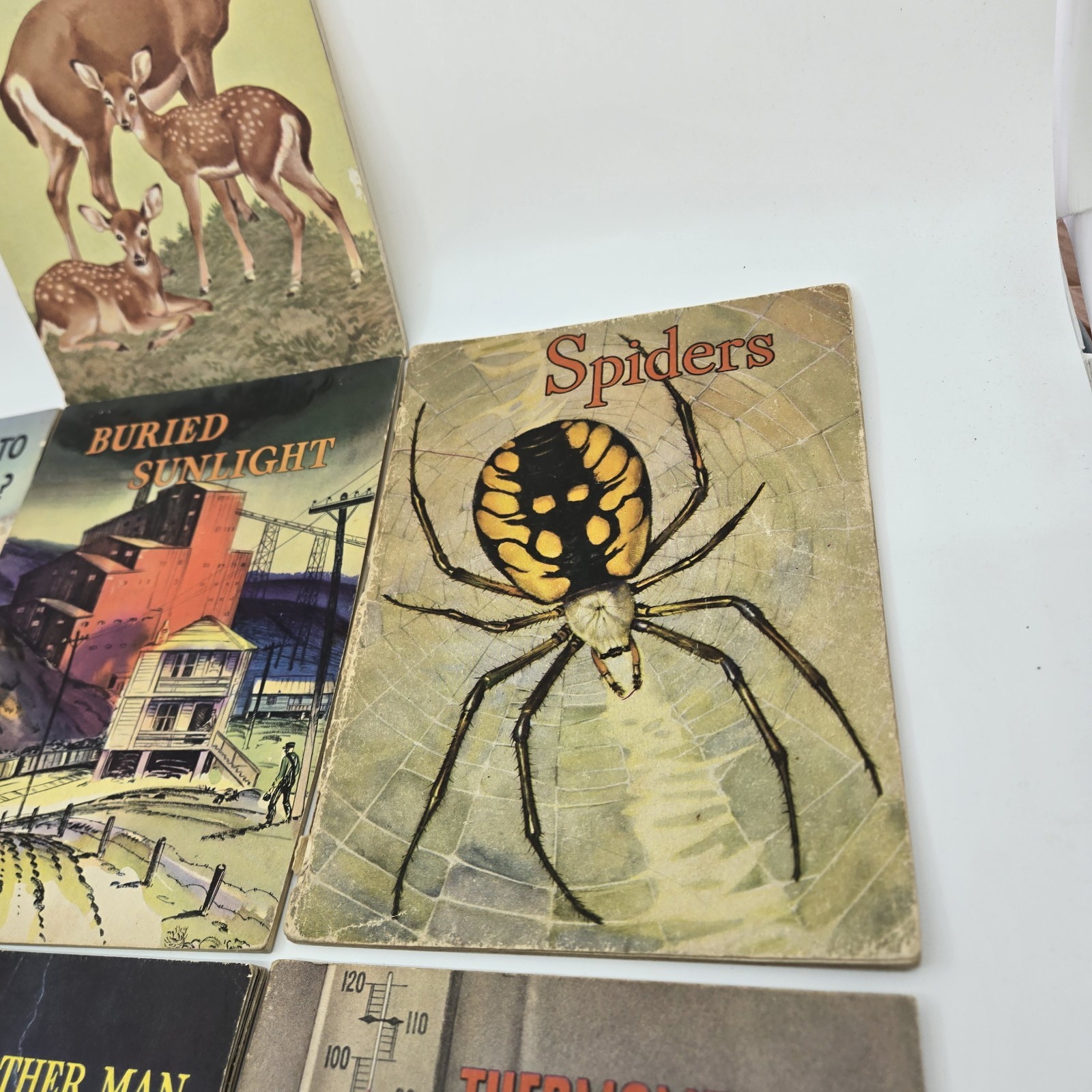 Lot 8 The Basic Science Education Series Books Vtg 1950s Bertha Morris Parker