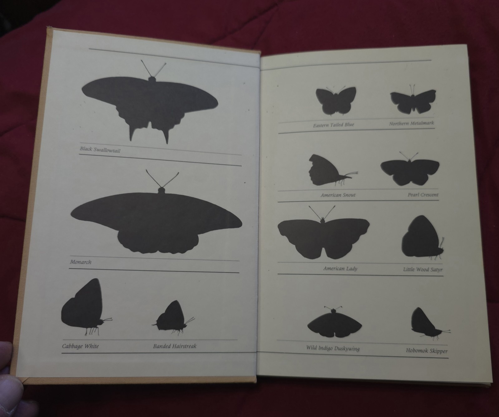 Rare “Butterflies through Binoculars” GREAT Field Guide Book!