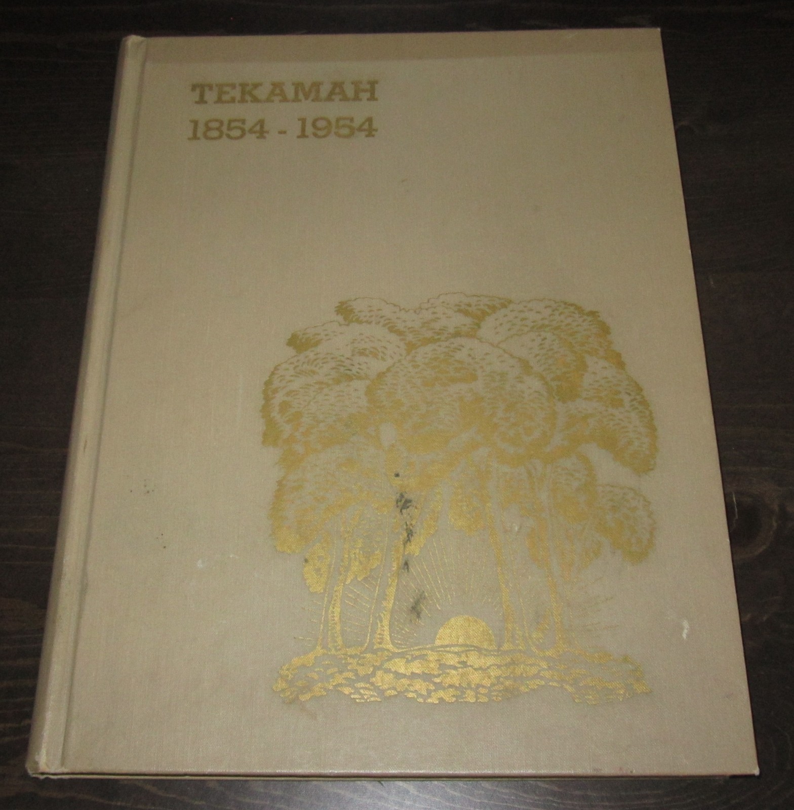 TEKAMAH 1854-1954 Nebraska community centennial history book 1st ed 1954 RARE