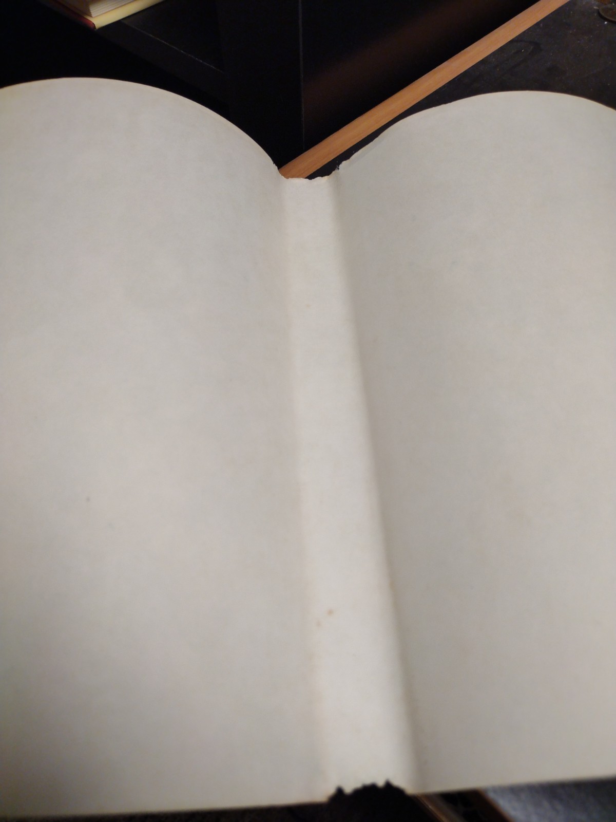 Starluck by Donald Wismer 1982 First Edition Doubleday and Company w Dust Jacket
