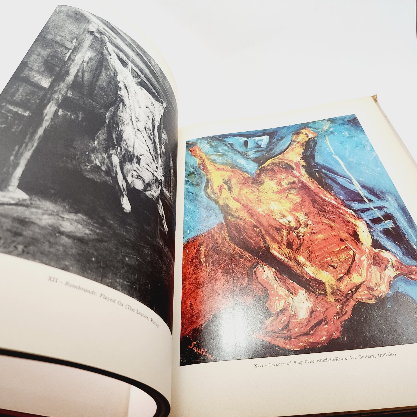 Chaim Soutine Castaing Marcella and Leymarie Jean 1964 Fine Art Painting Abrams