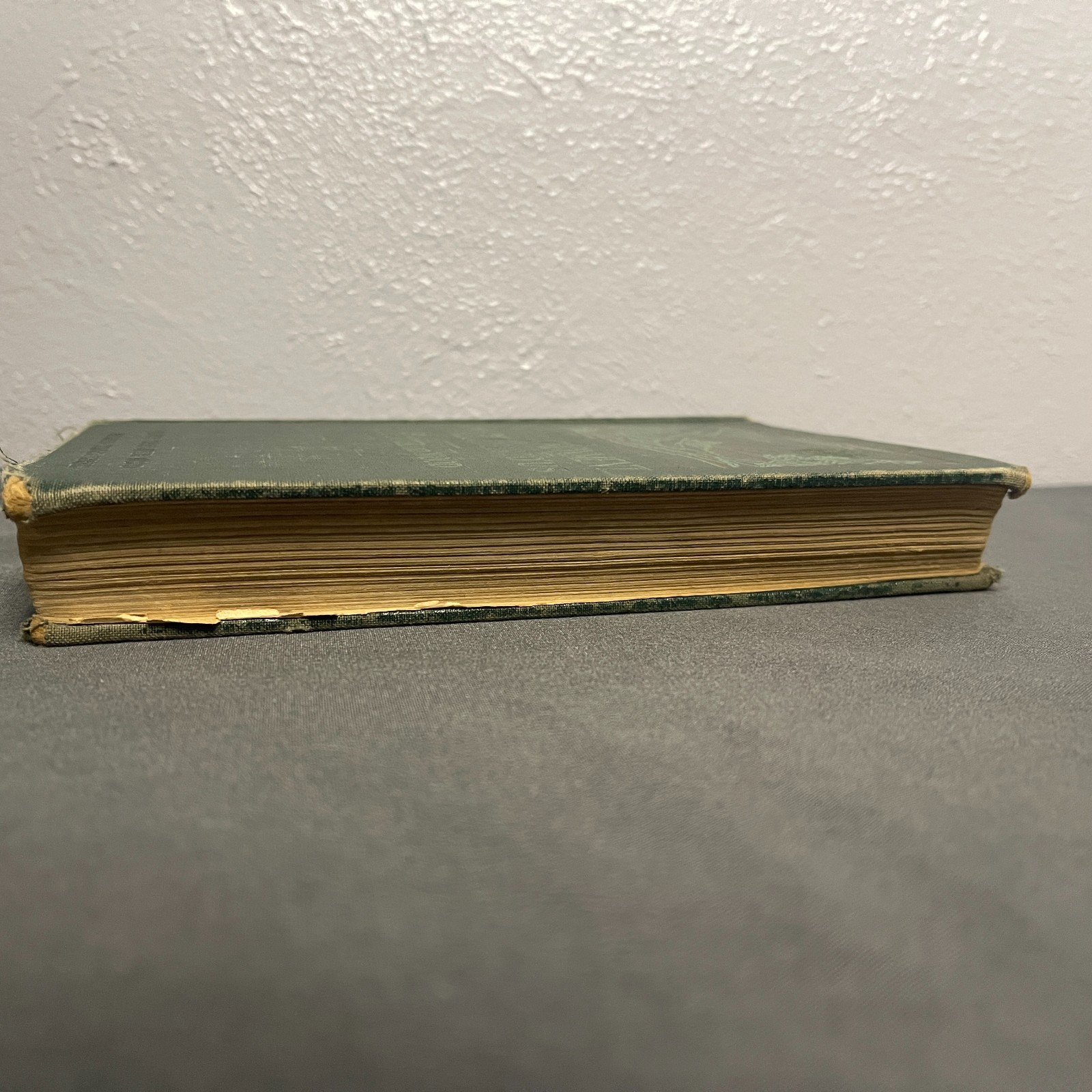 School Science Textbook Our Environment 1933 Vintage Hardcover Carpenter & Wood