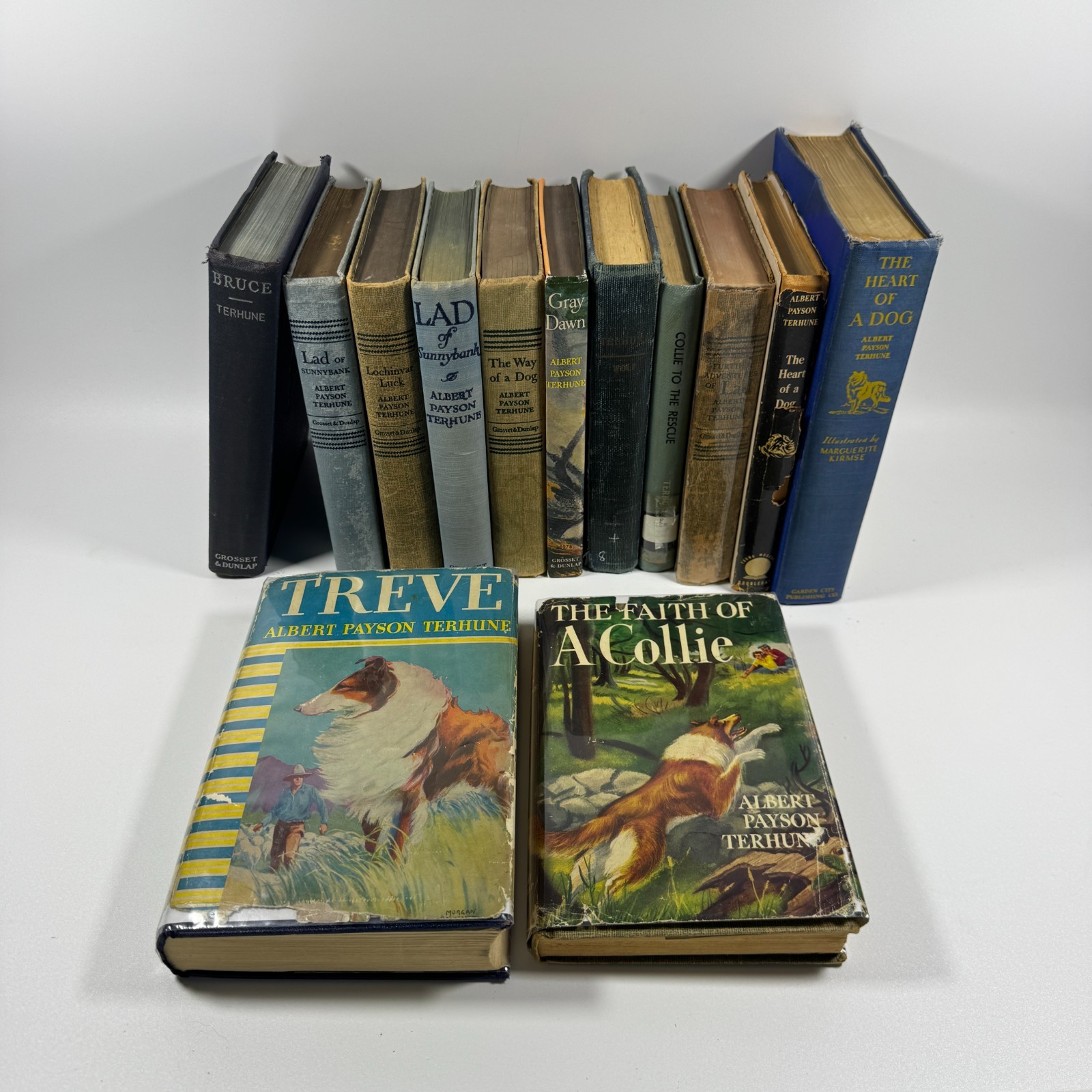 Vintage Lot of 11 ALBERT PAYSON TERHUNE Collie Books 1920’s-1930’s HC DJ