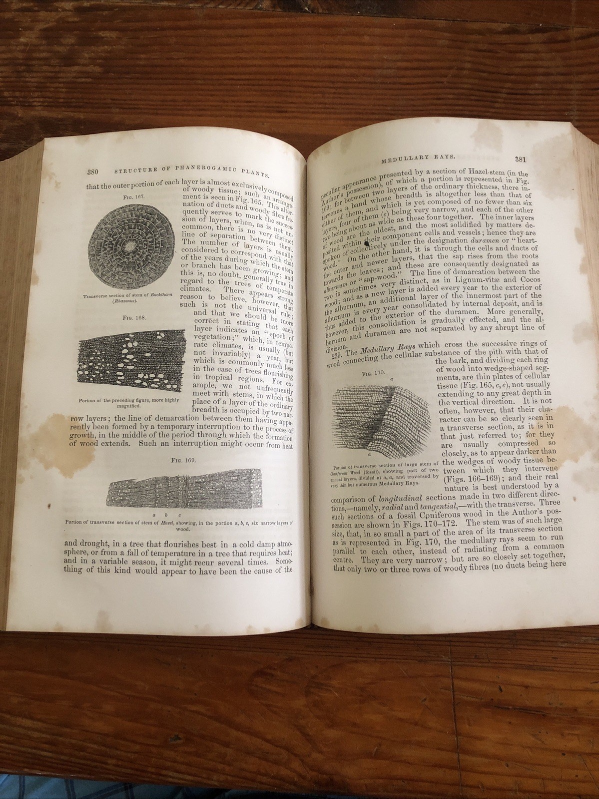 The Microscope & It’s Revelations (1856) William Carpenter w/434 Wood Engravings