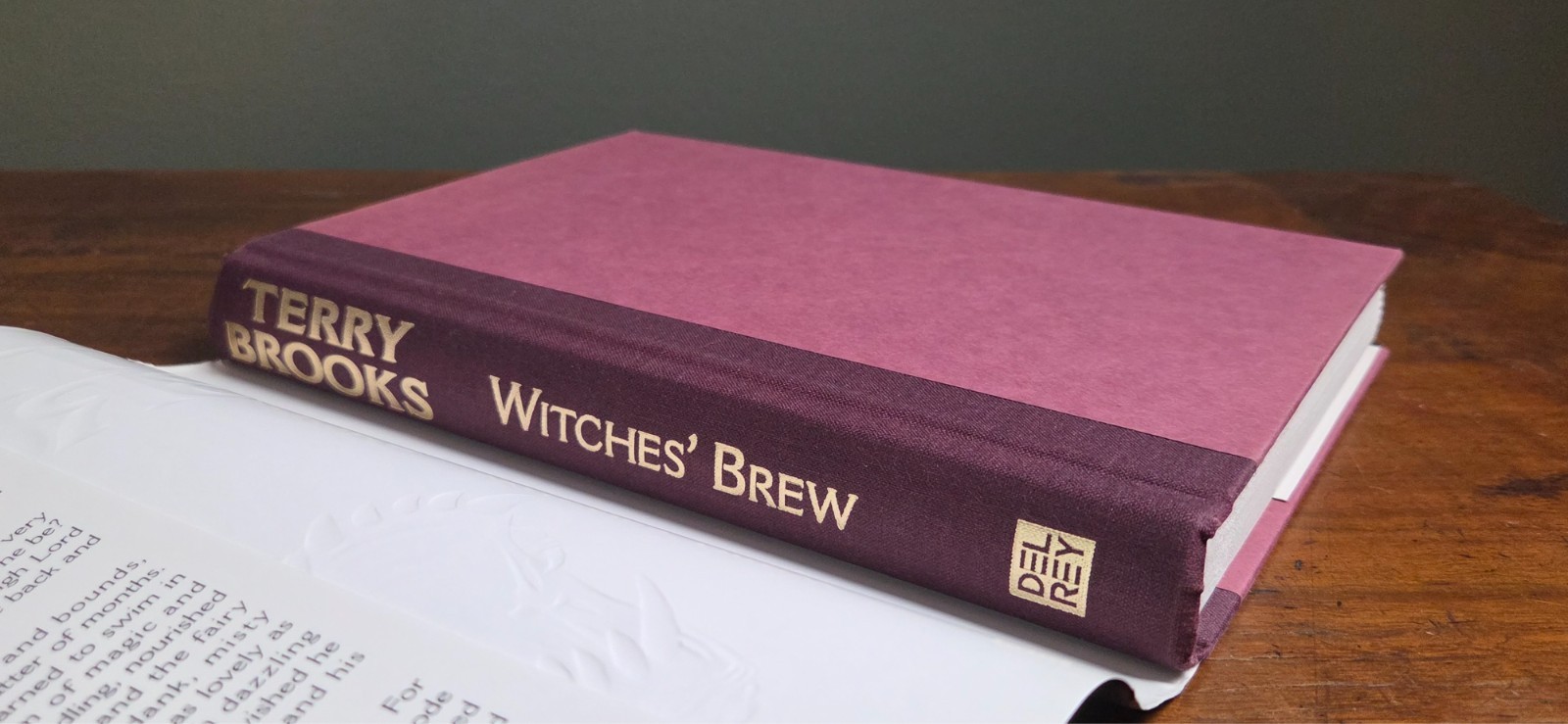 Witches‘ Brew by Terry Brooks 1st Edition 1st Print Magic Kingdom of Landover