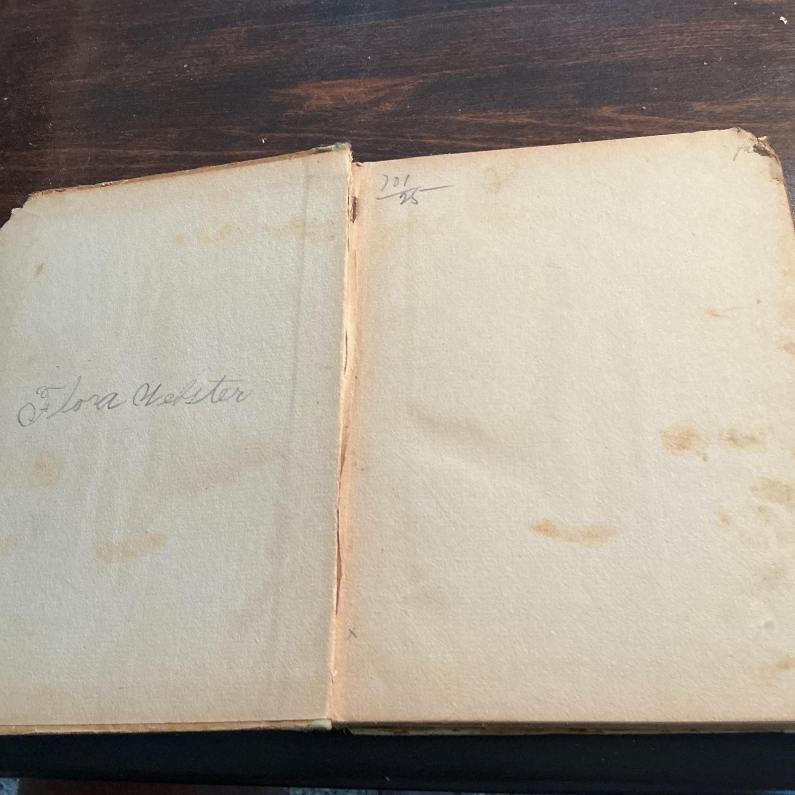 1892 Antique Dream Land Profusely Illustrated Thomas Handford Morrill HC Rough