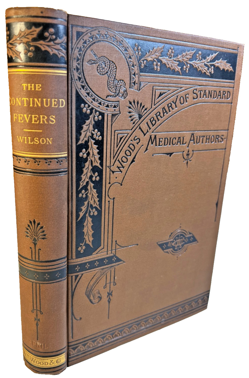 Antique Victorican Medical Book Ornate Decorative Fancy 1881 Typhoid Fever