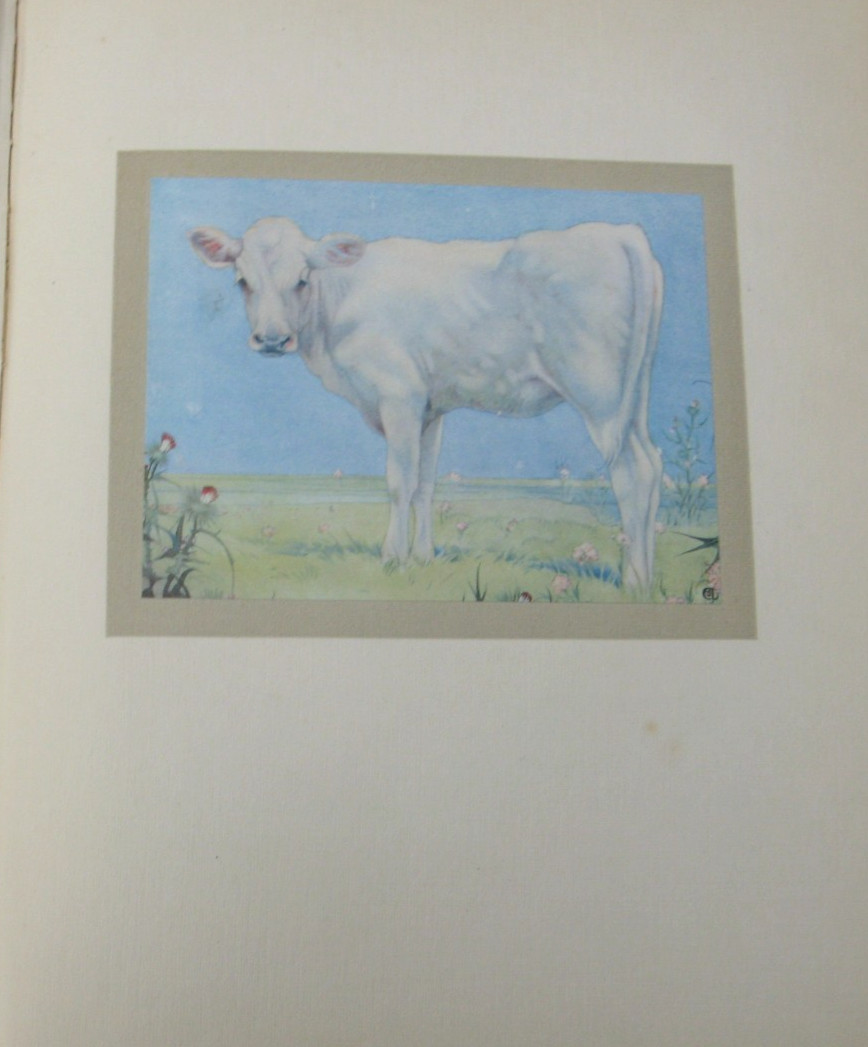 1911 The Book of Baby Beasts- Detmold SIGNED 1st Edition