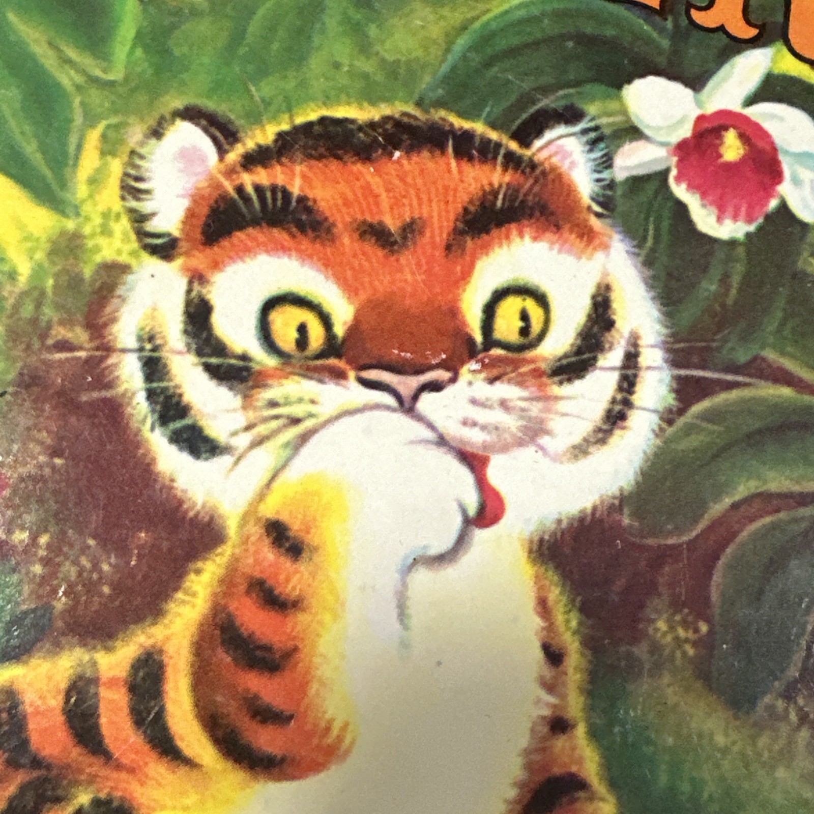 Timothy, Tiger By Marjorie Barrows Vintage Children’s Storybook First Edition