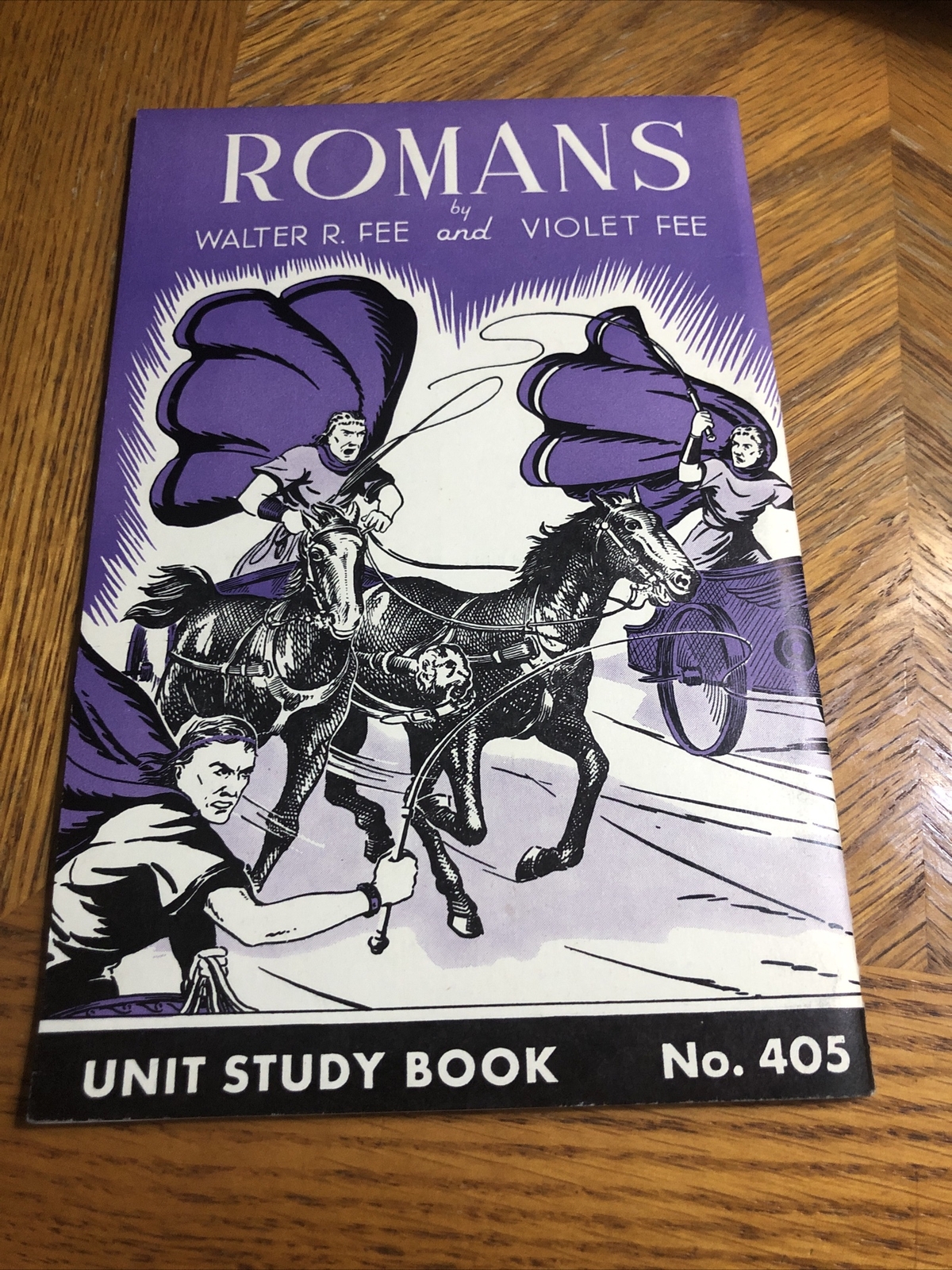 Romans by Walter R Fee Unit Study Book 405 1939 Educational Book Vintage