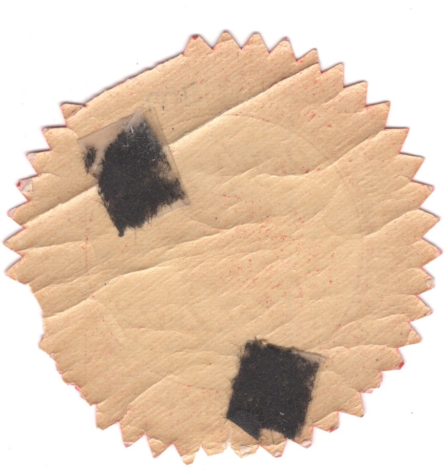 1902 OMAHA KNIGHTS of AK~SAR~BEN FALL FESTIVITIES etc OLD SOUVENIR STAMP Z336