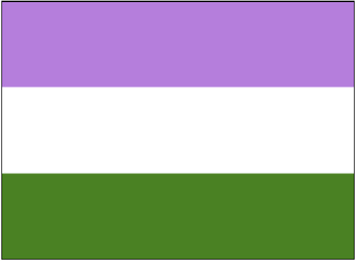Lot of 3 HC Books – GENDERQUEER Pride Flag Shades LGBTQ+ Decor Display Props