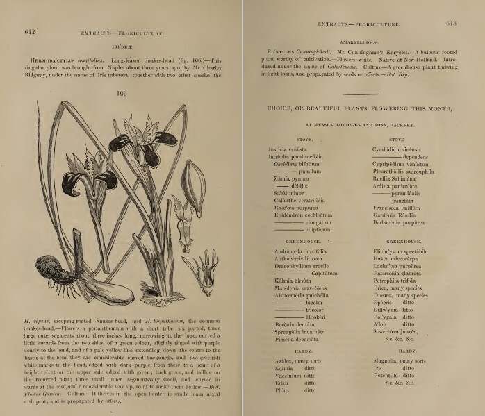 The Horticultural Register and General Magazine (1831-1836) – 5 Volumes on DVD