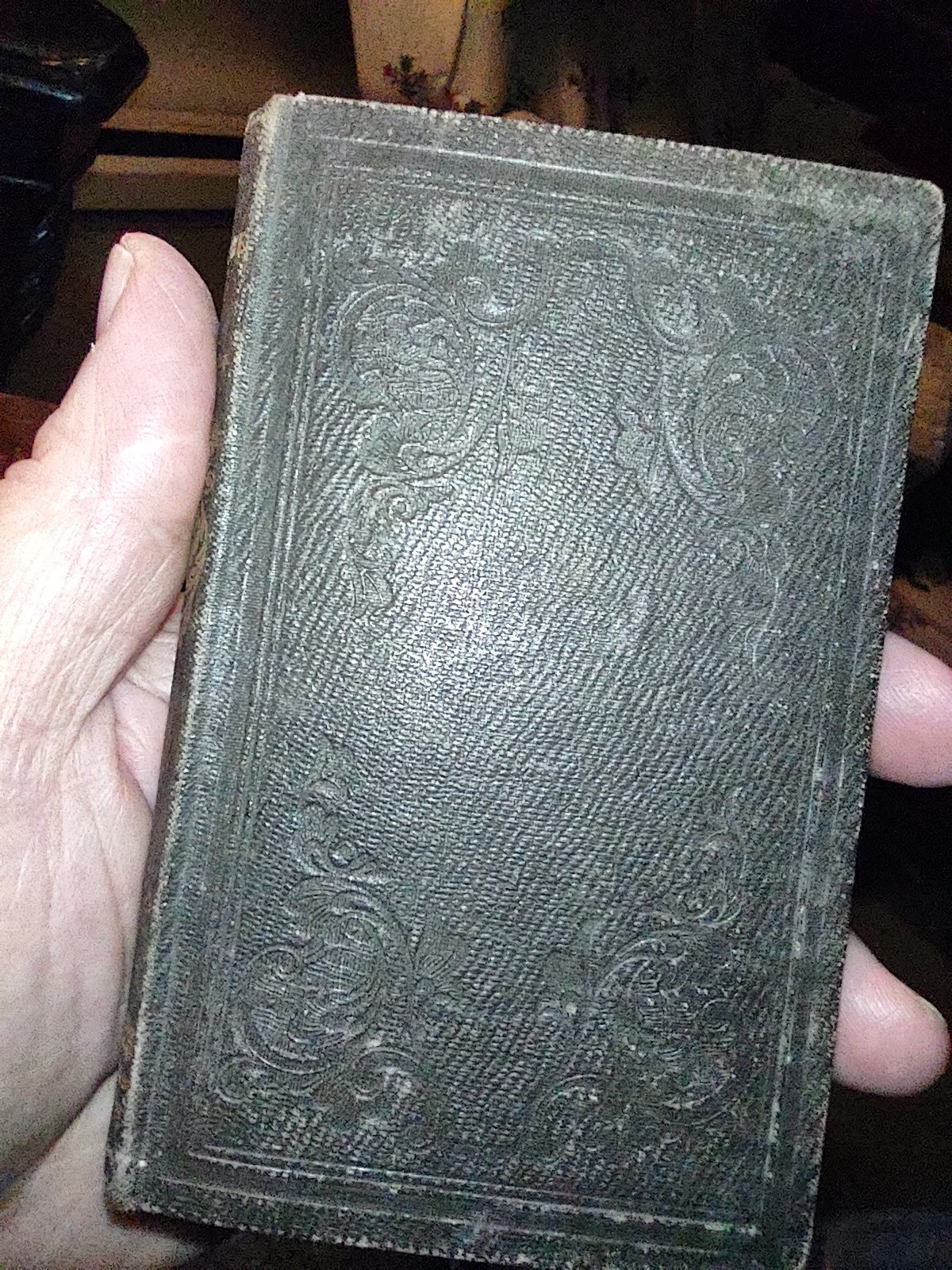 Doctrines and Discipline the Methodist Episcopal Church, New York, 1854