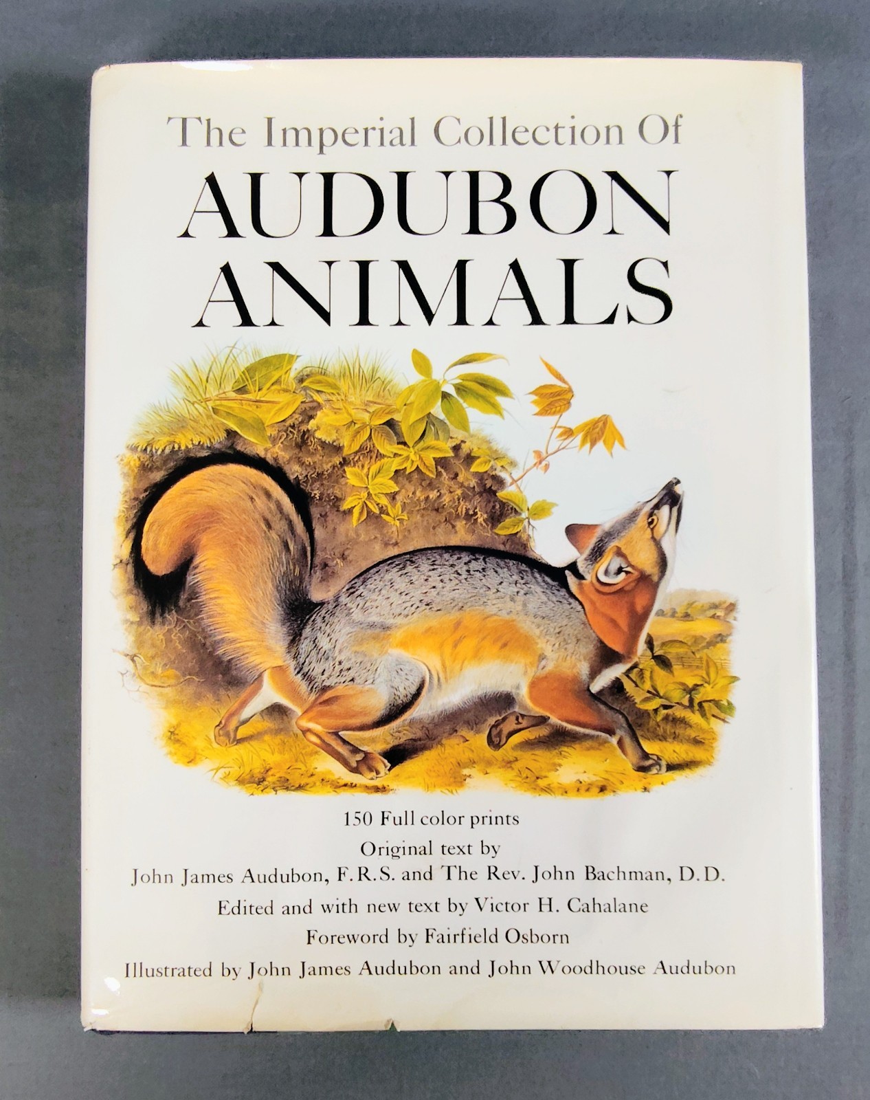 The Imperial Collection Of Audubon Animals 1967 Vintage Hardcover Dust Jacket