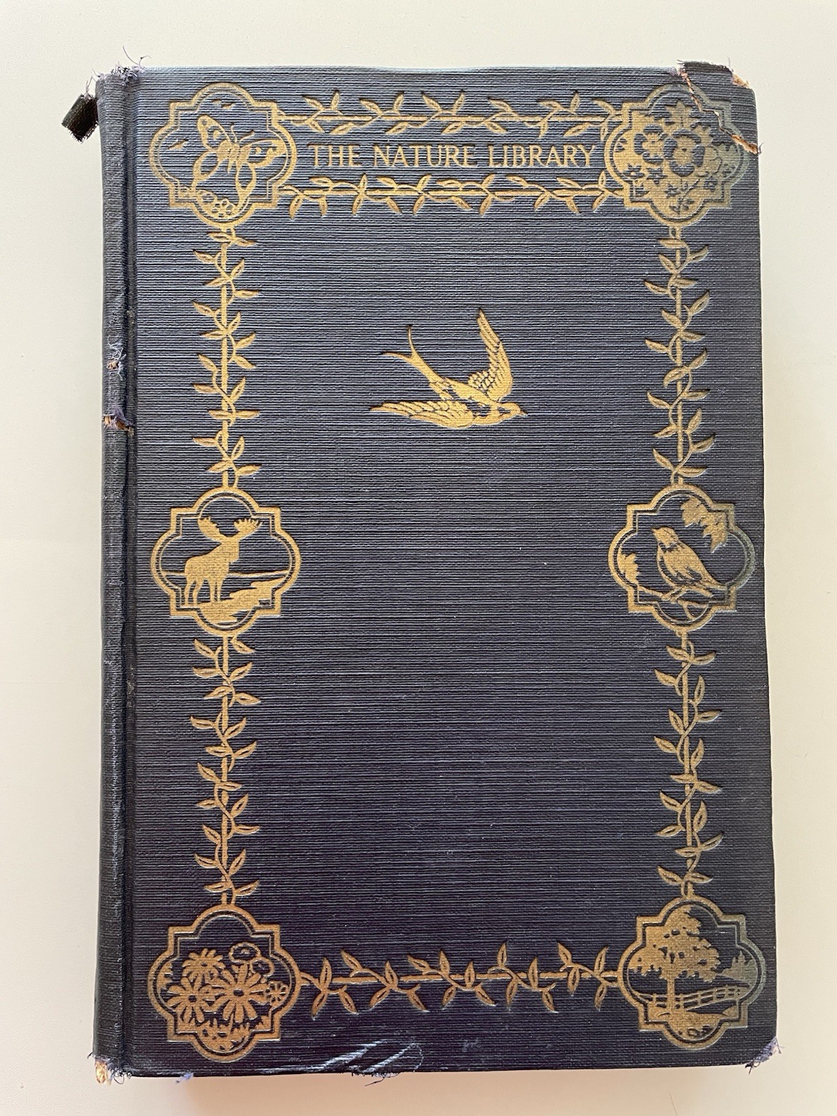 The Nature Library Birds 1927 HC Neltje Blanchan 48 Illustrations Full Color