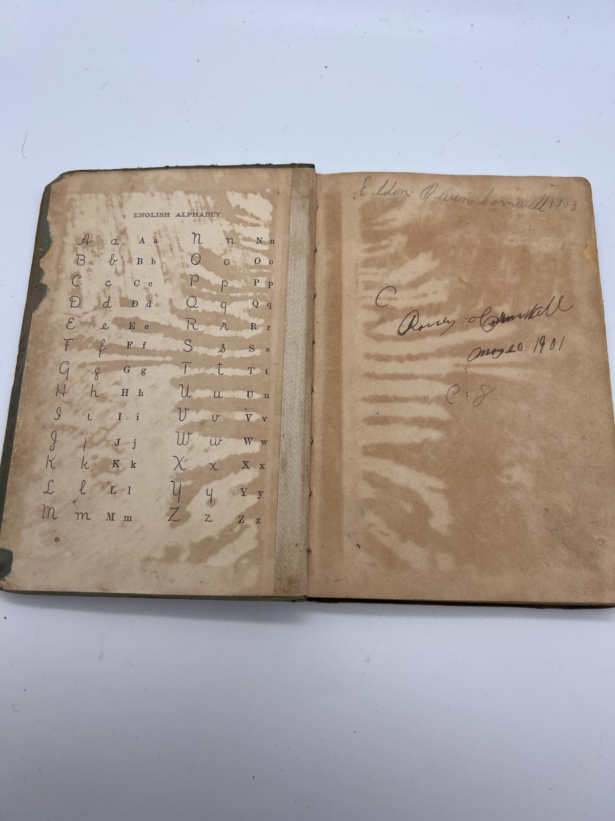VINTAGE 1895 – The Practical Speller and Definer by B.K. Benson FIRST Book!