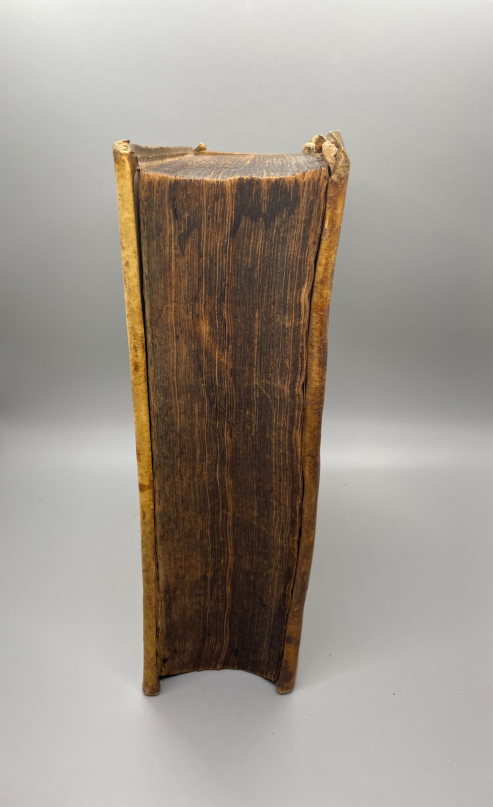 Biblical Real Lexicon Published by Conrad Stosseln 1715 Book, Vellum, German