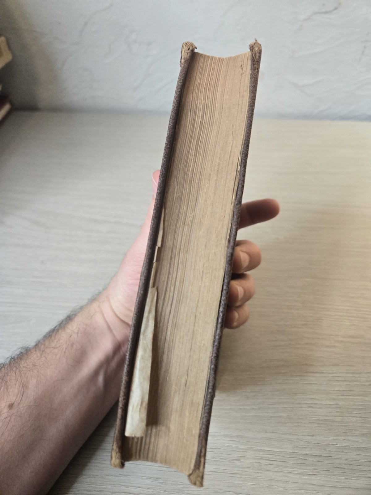 A Popular History Of Ireland, Thomas Darcy Mcgee, 1864, Vol. I J28